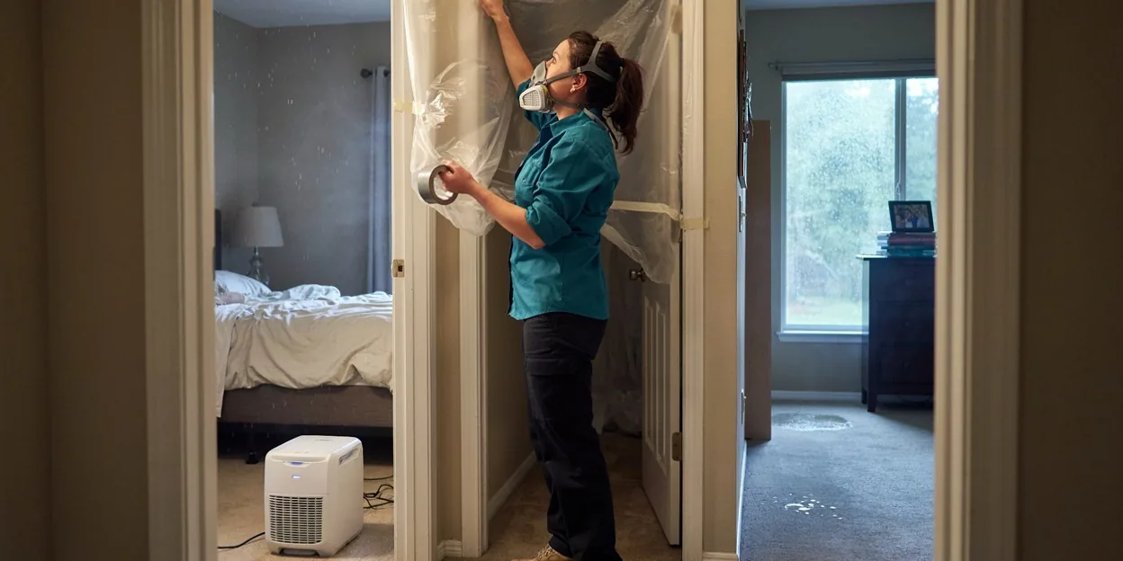 Mold Odor Removal in Renton, WA